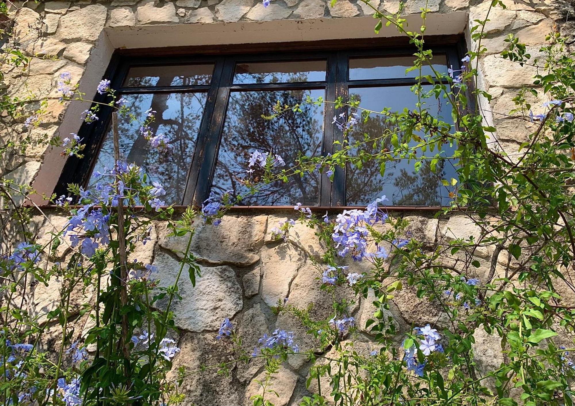 La Casita Del Bosque Apartment Sant Pere De Ribes Luaran gambar